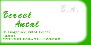bercel antal business card